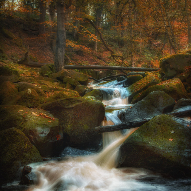 "Autumn Falls" by Simon Martin - £15.00 "Autumn Falls" stock image
