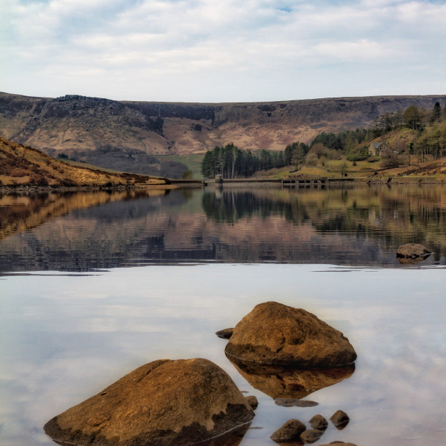 "Mill pond" stock image