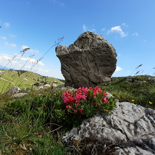 "Huge boulder in the valley" by Nature2Cool Photography - $30.49 "Huge boulder in the valley" stock image