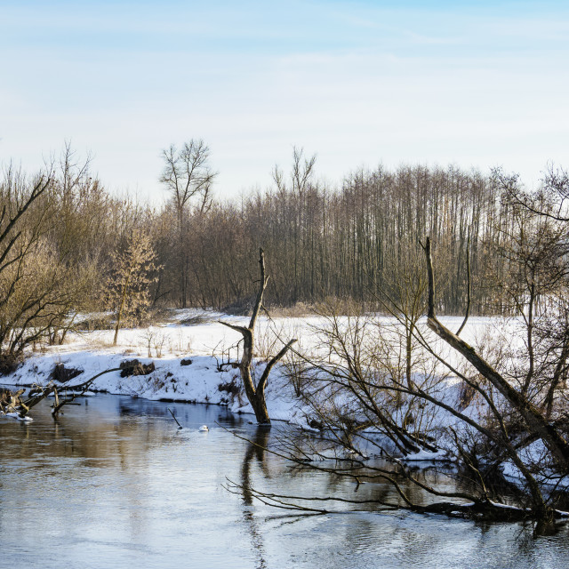 "River Wieprz at winter time, Zawieprzyce, Lublin Voivodeship, Poland" stock image