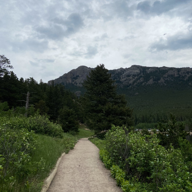 "Mountain Trail" stock image