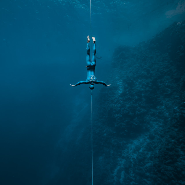 "First prize for style" by Huub Waaldijk - £40.00 "First prize for style" stock image