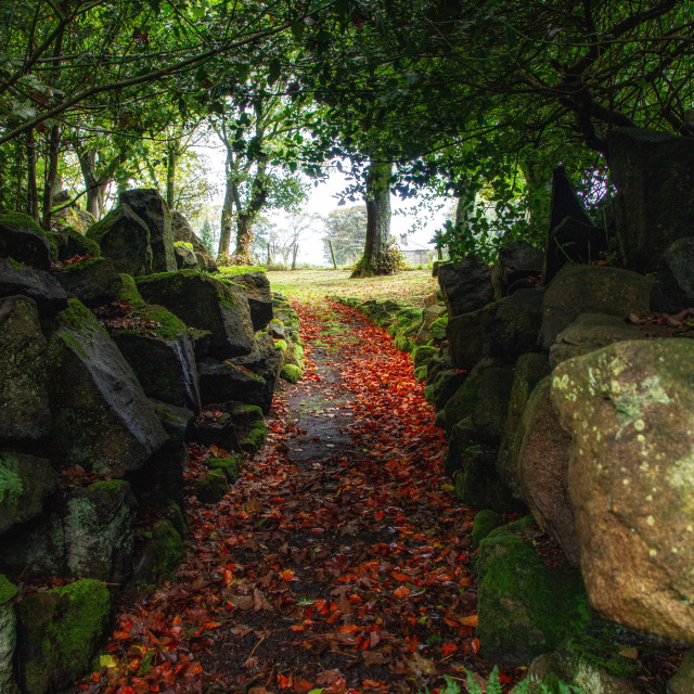 "The Autumn path" stock image