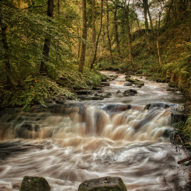 "River run" stock image