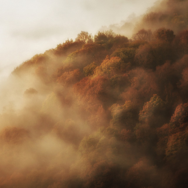"Incoming" by Simon Martin - £15.00 "Incoming" stock image