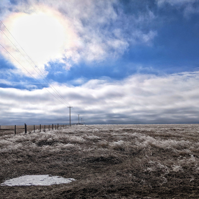 "Frost on the prairies" by MLLL Photography - $21.38 "Frost on the prairies" stock image