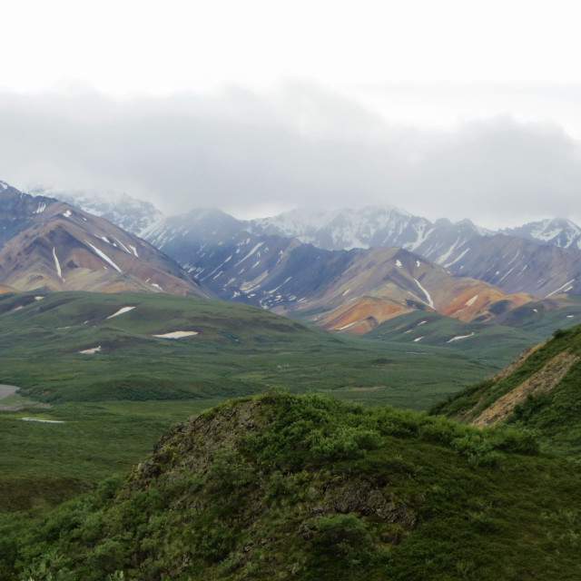 "Denali National Park wilderness" by Nature2Cool Photography - $15.86 "Denali National Park wilderness" stock image