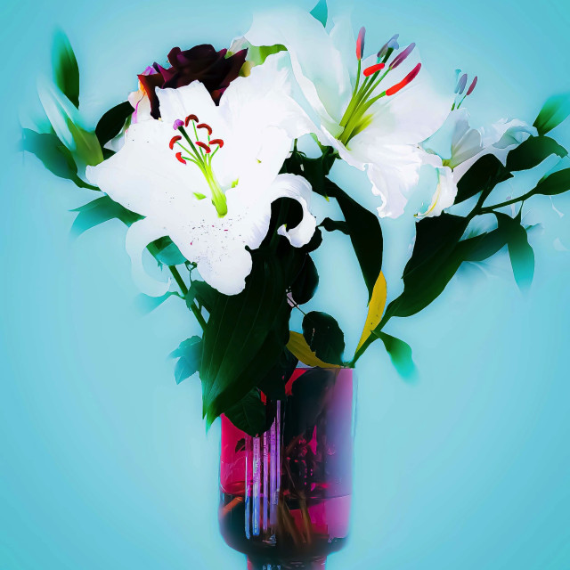 "White Lilies in a vase" stock image