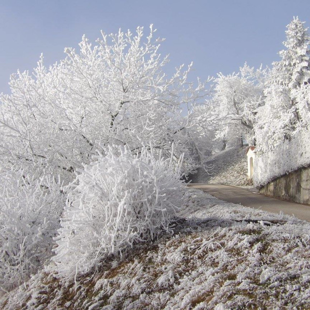 "Primskovo Frost" by Nature2Cool Photography - $12.20 "Primskovo Frost" stock image