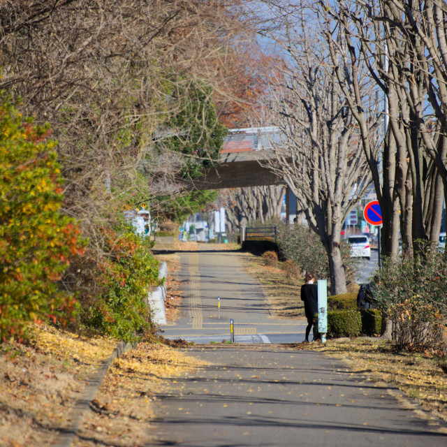 "Anystreet, Japan" by Blue Magister - £20.00 "Anystreet, Japan" stock image