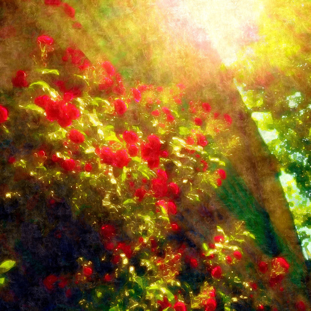 "Flowers in the Morning" by Blue Magister - £200.00 "Flowers in the Morning" stock image