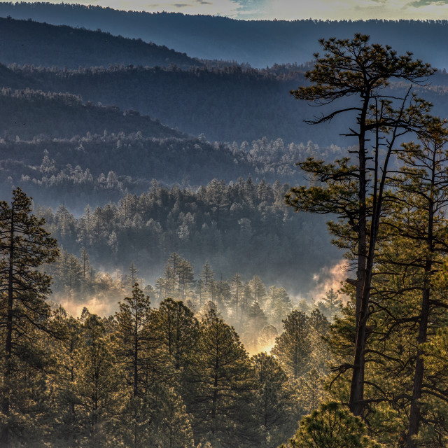 "Misty Mountains" by Chuck Taylor - £83.00 "Misty Mountains" stock image