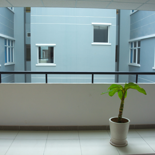 "A Lonely L'il Tree" by Blue Magister - £40.00 "A Lonely L'il Tree" stock image