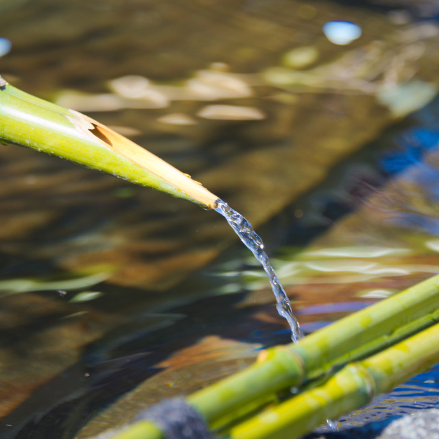 "Bamboo Water" stock image