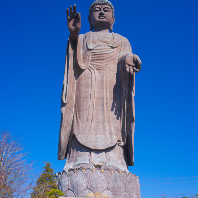 "The Great Buddha" stock image