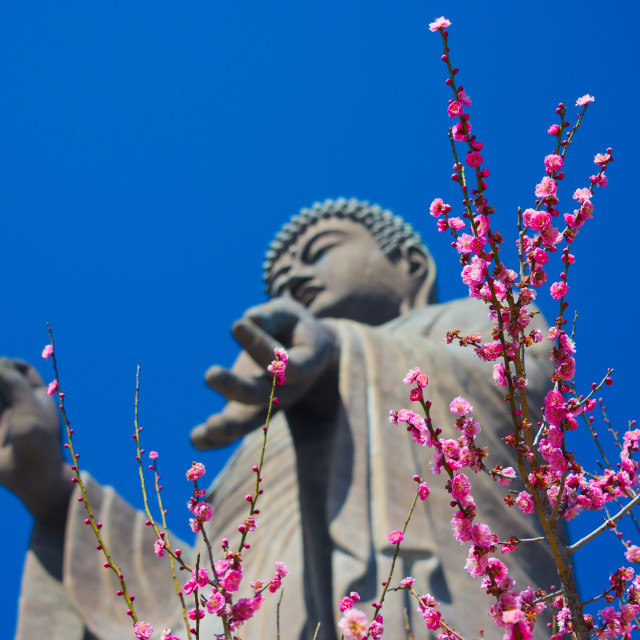 "Springtime Buddha" stock image