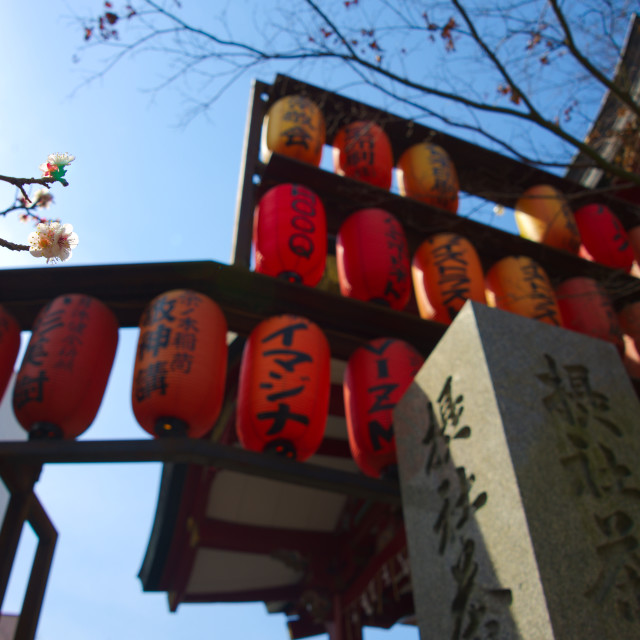 "Lanterns and Sky" stock image