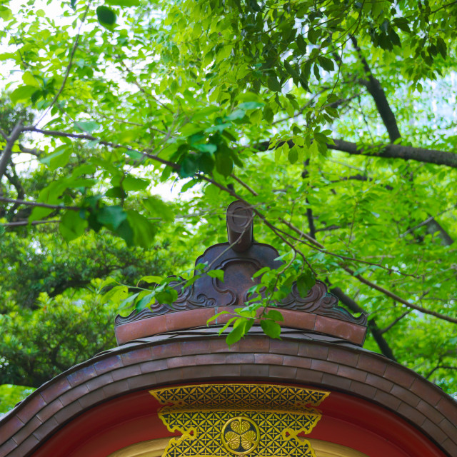 "A temple wood roof and a tree" stock image