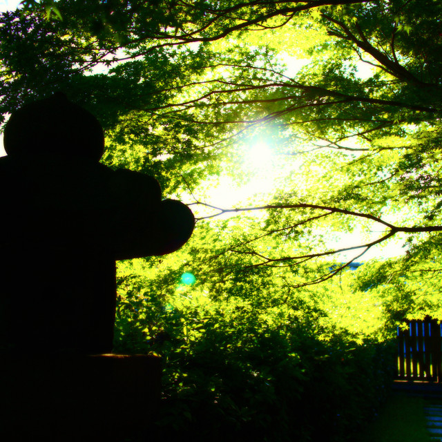 "Japanese Garden" by Blue Magister - $24.85 "Japanese Garden" stock image