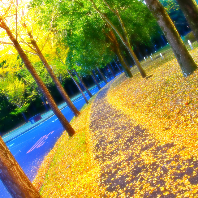 "The Bright Path" by Blue Magister - $49.71 "The Bright Path" stock image