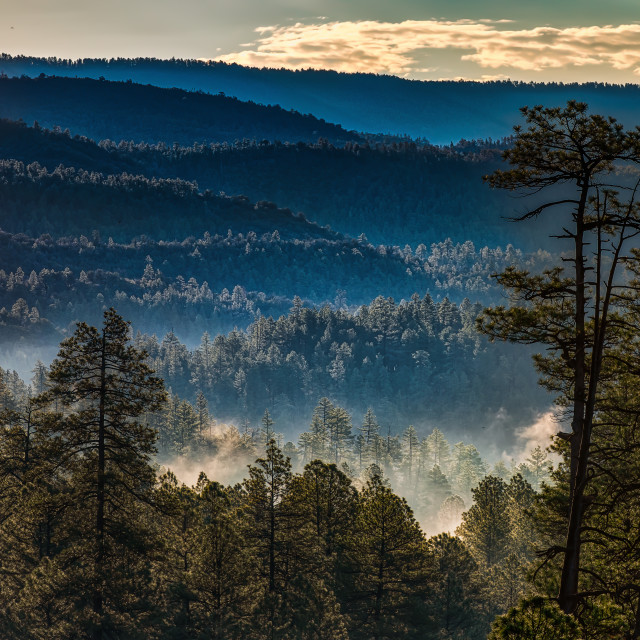 "Mogollon RIm" by Chuck Taylor - £83.00 "Mogollon RIm" stock image