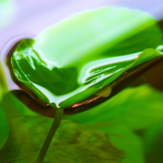 "Water Pool" stock image