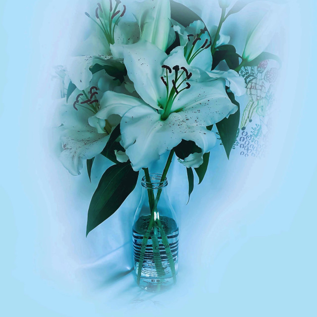 "White lilies in a glass bottle" stock image