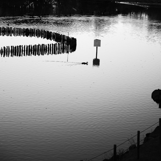 "Still Waters" by Blue Magister - £50.00 "Still Waters" stock image