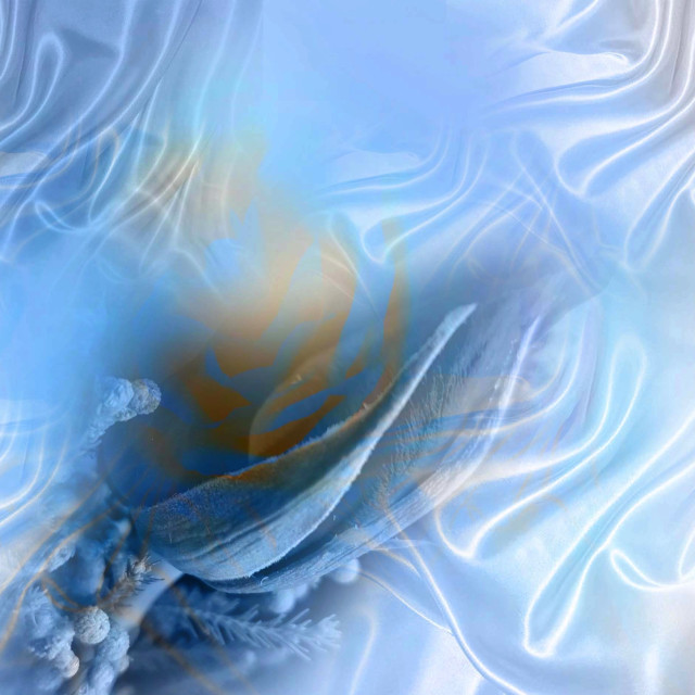 "A Rose on silk" by RukhsanaC - £50.00 "A Rose on silk" stock image