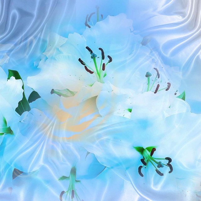 "Lily Flowers on silk" by RukhsanaC - £50.00 "Lily Flowers on silk" stock image