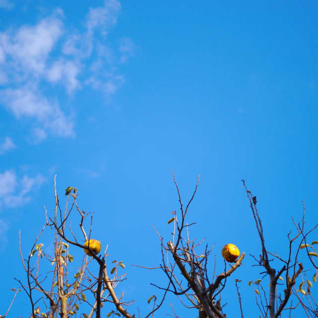 "Blue Sky 3" stock image