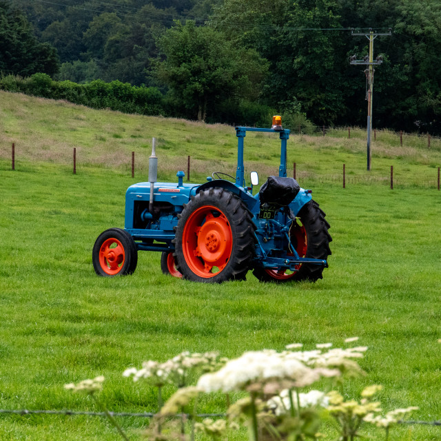 "Dorset County Show Tractor Run 21" by Dorset Rural Photography - £5.00 "Dorset County Show Tractor Run 21" stock image