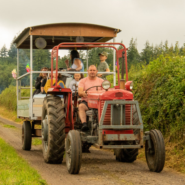 "Dorset County Show Tractor Run 21" by Dorset Rural Photography - £5.00 "Dorset County Show Tractor Run 21" stock image