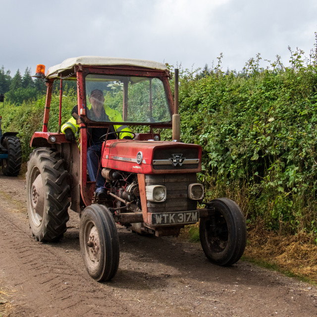 "Dorset County Show Tractor Run 21" by Dorset Rural Photography - £5.00 "Dorset County Show Tractor Run 21" stock image