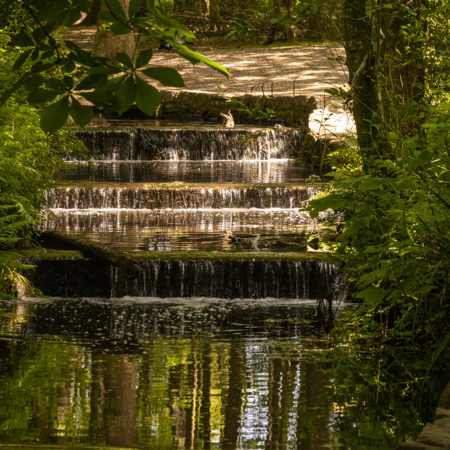 "Stream at Tehidy Woods, Cornwall" by Bobb Strongman - £20.00 "Stream at Tehidy Woods, Cornwall" stock image