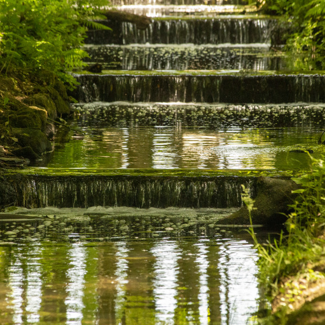 "Stream at Tehidy Woods, Cornwall" by Bobb Strongman - £20.00 "Stream at Tehidy Woods, Cornwall" stock image
