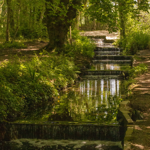 "Stream at Tehidy Woods, Cornwall" by Bobb Strongman - £20.00 "Stream at Tehidy Woods, Cornwall" stock image