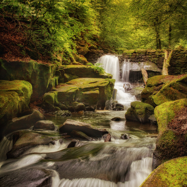 "Healy Dell" by Simon Martin - £15.00 "Healy Dell" stock image