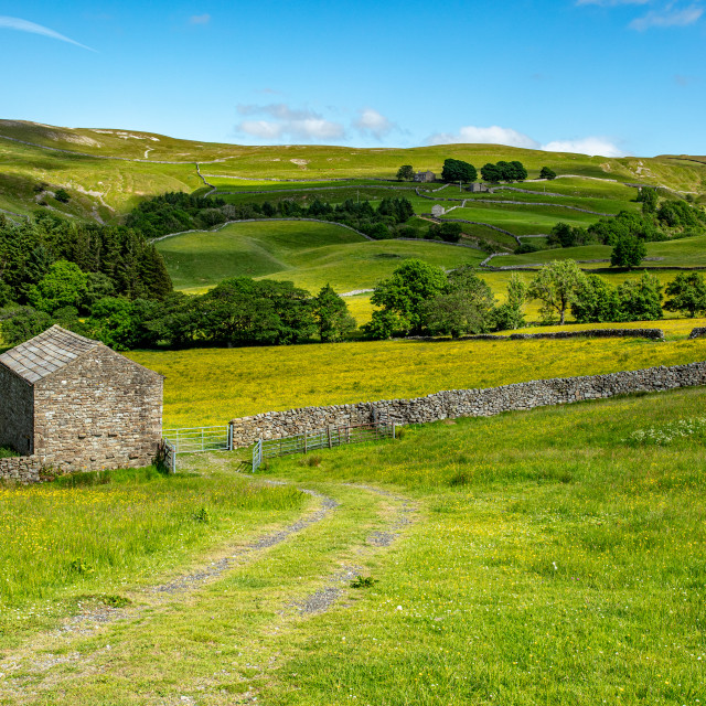 "Yorkshire dales" stock image