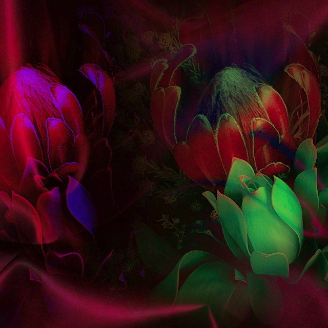 "Flowers on red silk" by RukhsanaC - £50.00 "Flowers on red silk" stock image