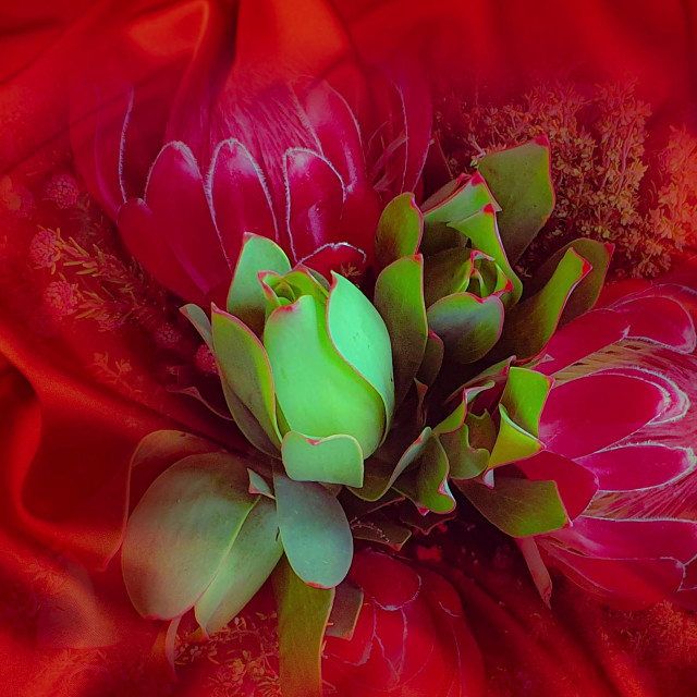 "Flowers on red silk" by RukhsanaC - £50.00 "Flowers on red silk" stock image