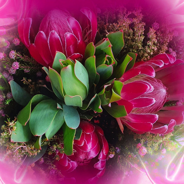 "Flowers on a pink silk background" by RukhsanaC - £50.00 "Flowers on a pink silk background" stock image