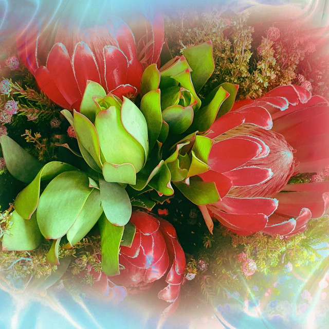 "Flowers on a silk back ground" by RukhsanaC - £50.00 "Flowers on a silk back ground" stock image