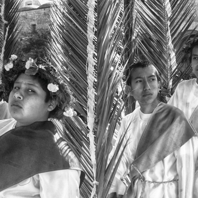 "Children, Semana Santa, Oaxaca, Mexico" stock image