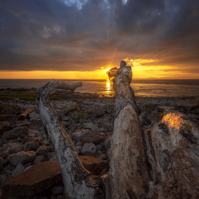 "Clevedon Sunset" by Pete Griffiths - £10.00 "Clevedon Sunset" stock image