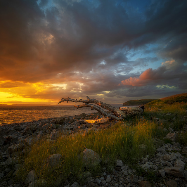 "Clevedon Sunset" by Pete Griffiths - £10.00 "Clevedon Sunset" stock image