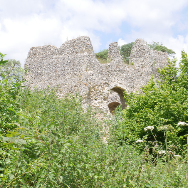 "Castle ruins through the trees" stock image