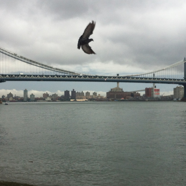 "Flying by the Manhattan Bridge" stock image