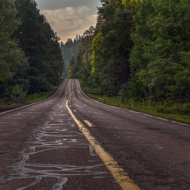 "Road Less Traveled" by Chuck Taylor - £33.00 "Road Less Traveled" stock image