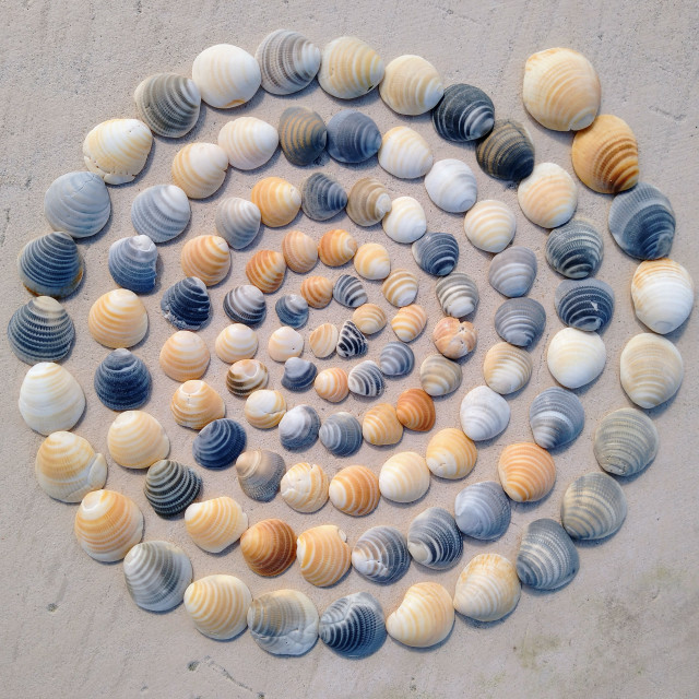 "Shell spiral on a beach in Portugal" stock image